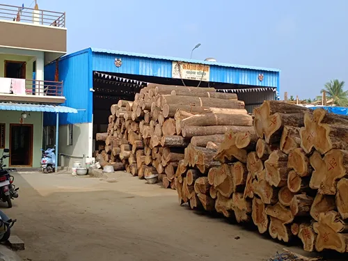 Teak Wood at Subramaniya Sawmill & Timber Mart